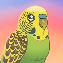 Bird Kind