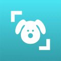Dog Scanner: Породы собак