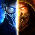 Mortal Kombat: Файтинг