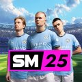 Soccer Manager 2024 - Football
