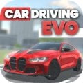 Car Driving: EVO