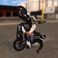 Elite Auto Brazil — Вилли
