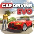 Car Driving: EVO