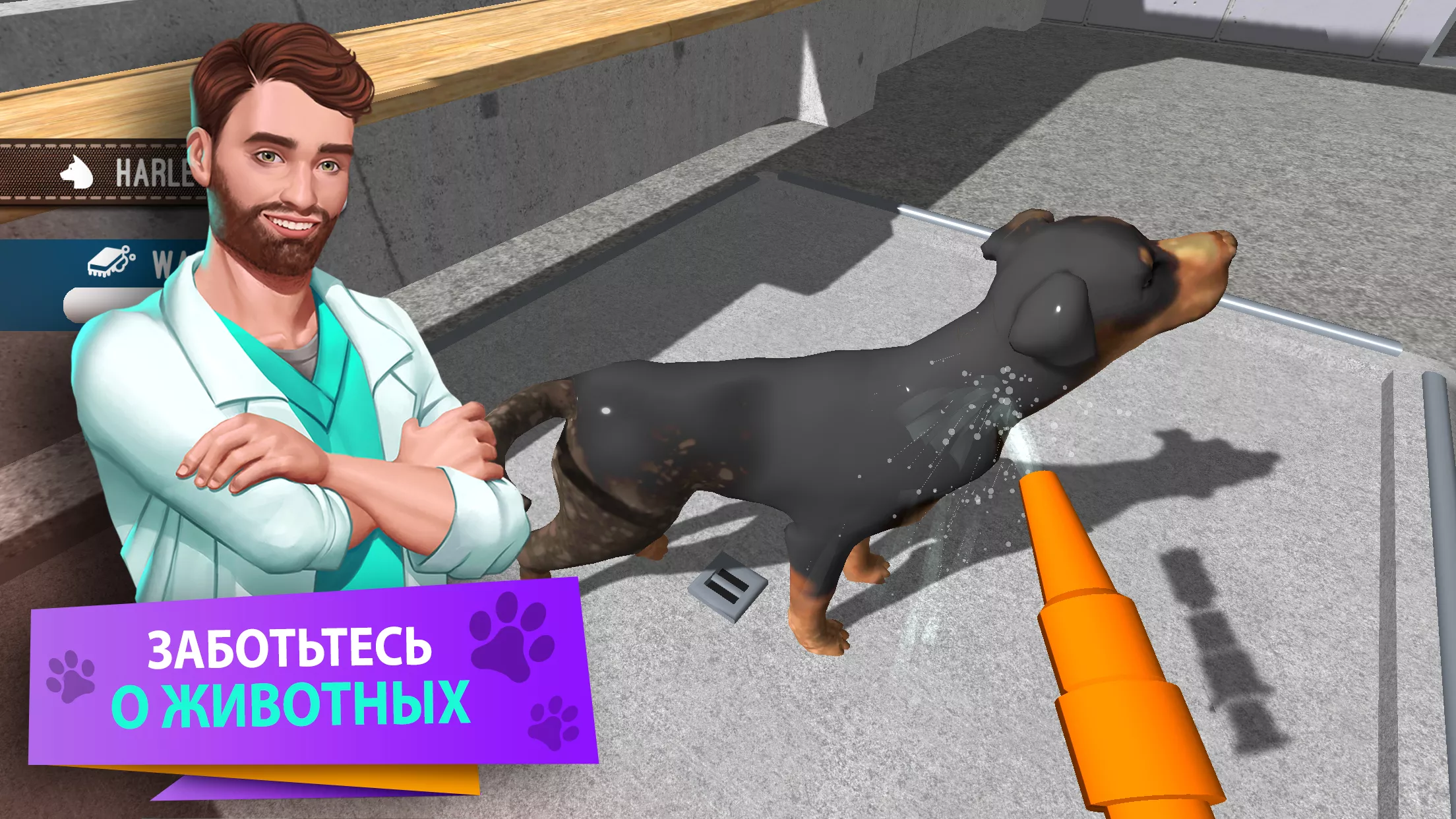 Скачать Animal Shelter Simulator v1.366 Мод APK (Много денег)